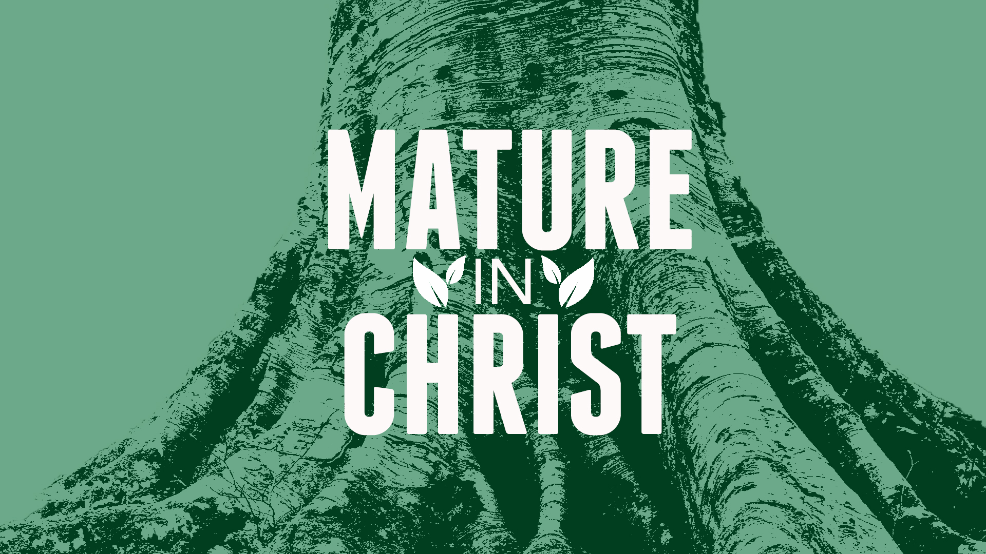 Mature in christ
